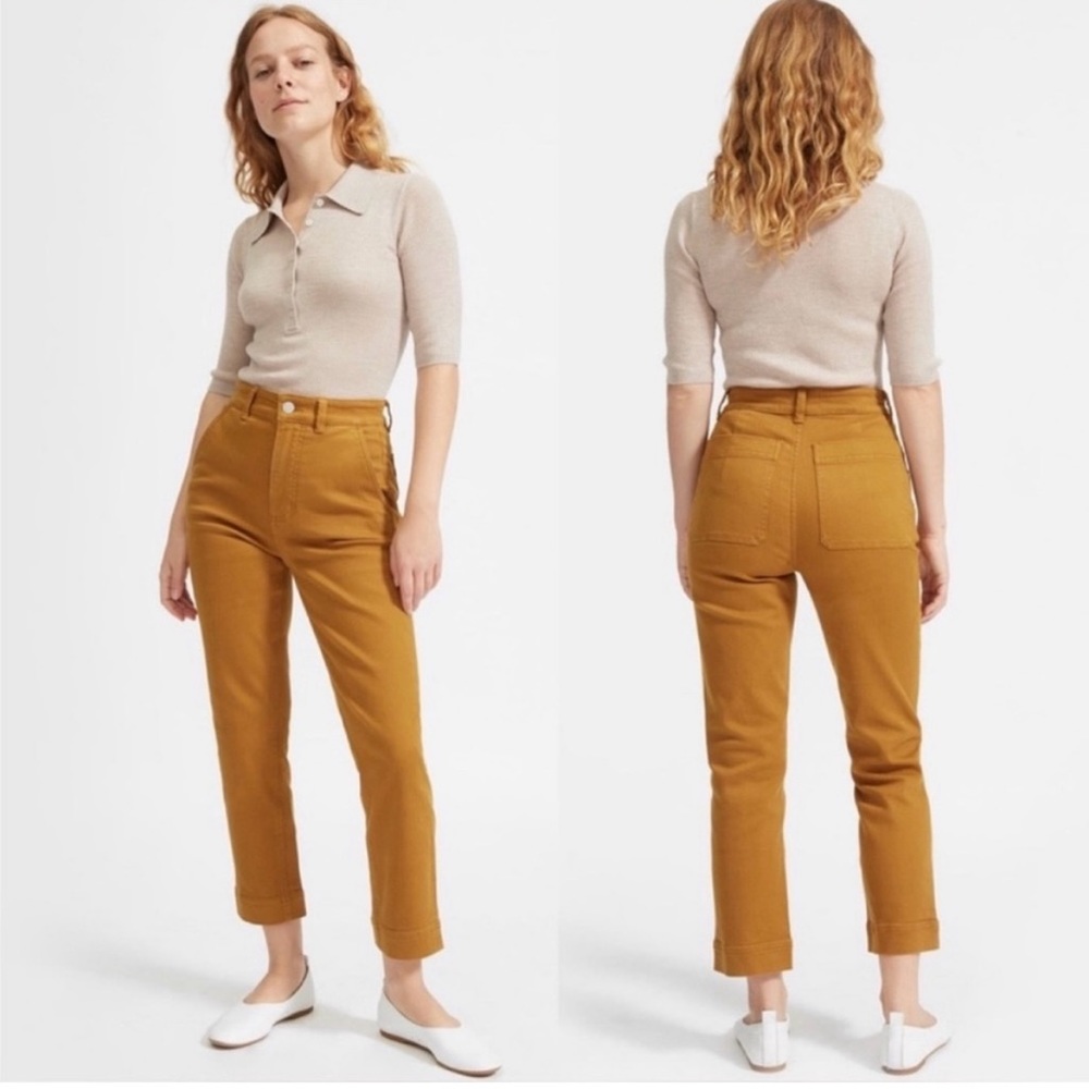 Everlane cropped straight pants in tapenade color in size 2. Worn twice!